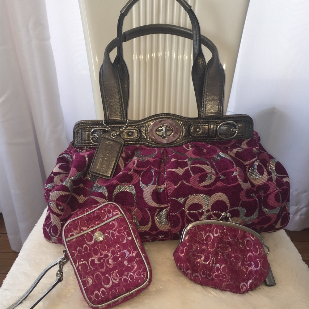 Coach Soho/Satchel shimmer velour bag